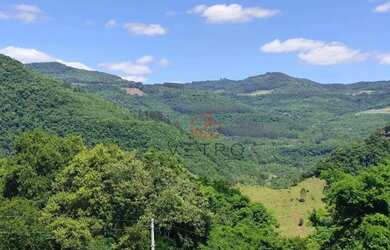 Imagem 10: Sítio à Venda em Gramado