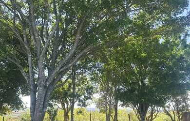 Imagem: Ibiúna por R$44.999 Parcelamos para você!