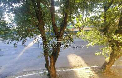 Imagem 16: Ilha dos Araújos - Casa