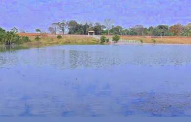 Imagem 3: fazenda Goiania. 35m² de Área