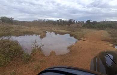 Imagem: A fazenda está localizado em Fundinho, Uberlândia à venda