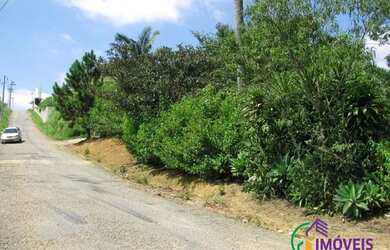 Imagem 2: AREA - LARANJA AZEDA - SP