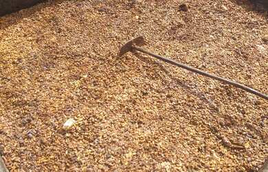 Imagem 8: Vendo Fazenda De Cacau Em Gandu