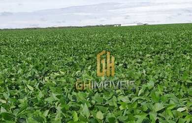 Imagem 10: Fazenda à venda, 6100 Hectares por R$ 770.000 - Zona Rural - Nova Maringá/MT