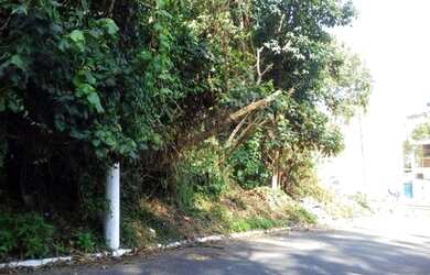 Imagem 11: Terrenos 6 x 23 com aclive a 7 minutos do Terminal do Jd Angela zona sul