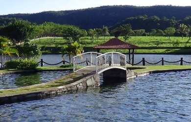Imagem: A fazenda está localizado em Centro, Brasília à venda por