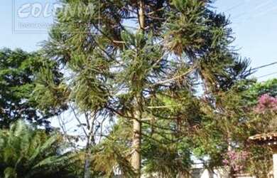 Imagem: O terreno possui 1.001m² de Área e está localizado em Salto