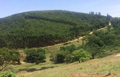 Imagem 10: Venha você e sua familia conhecer este lindo terreno!