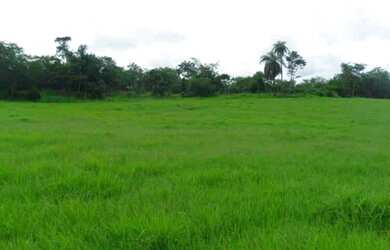 Imagem: A chácara está localizado em Jaboticatubas, MG à venda por