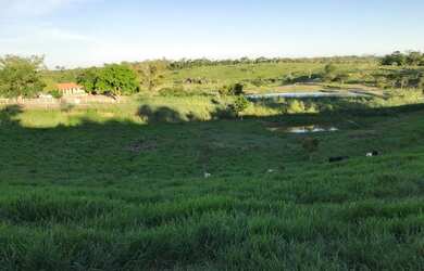 Imagem: A fazenda possui 1.551m² de Área, Imóvel novo e está localizado