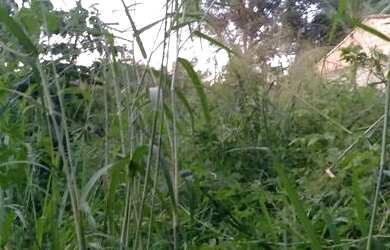 Imagem 2: Vendo Terreno no Siqueira II