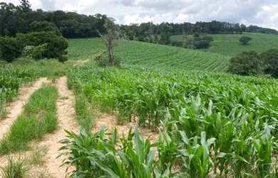 Imagem 3: LOTE A 5 MIN DA REPRESA. 500m² de Área