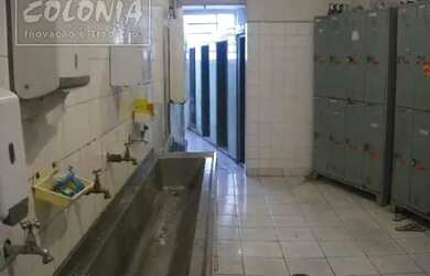 Imagem 8: São Paulo - Galpão/Depósito/Armazém - Vila Liviero