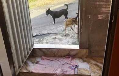 Imagem 4: Vende se. 1 Banheiroe2 Dormitórios