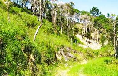 Imagem 1: Terreno bem inclinado no alto de Morro Porto Belo em Sertao de Santa Luzia...