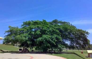 Imagem 16: Casa no Condomínio Figueira Garden - Atibaia