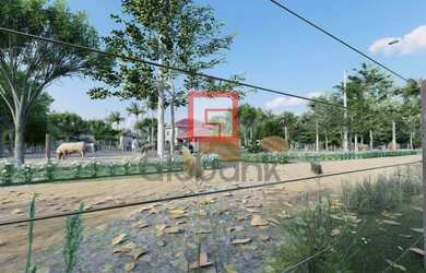 Imagem 2: Chácara em Nova Esperança, no bairro Pau D Óleo, à venda