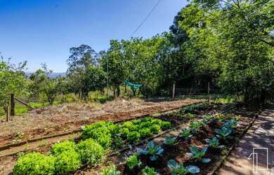 Imagem 16: Área à venda na Estrada do Quilombo, Feitoria