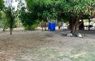 Imagem 16: Vendo, troco e negocio sítio no BOM INTENTO