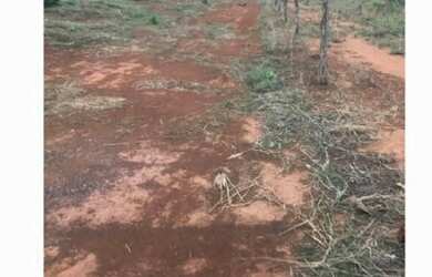 Imagem: A fazenda possui 160-0m² de Área e está localizado em Diamantino