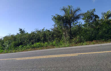 Imagem: O terreno está localizado em Cohama, São Luís à venda por