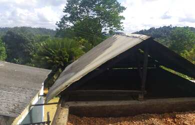 Imagem 5: Vendo Fazenda De Cacau Em Gandu