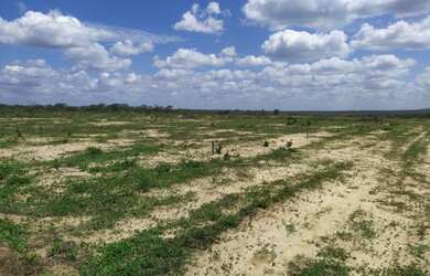 Imagem 7: Lote/Terreno para venda com 220 e 330 metros quadrados em Tangente - Água...