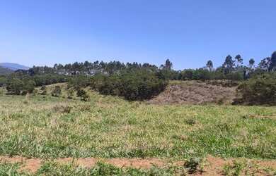 Imagem 13: Lote/Terreno para venda possui 1000 metros quadrados em Moinho I - Nazaré...