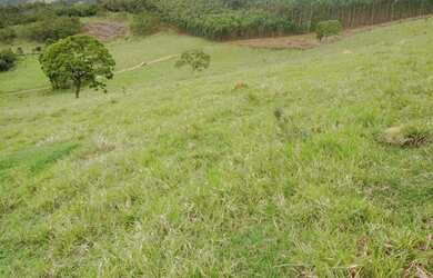 Imagem 16: Lote/Terreno para venda possui 1000 metros quadrados em Moinho I - Nazaré...
