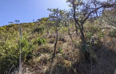 Imagem 1: Lote em Diamantina, 300 m2