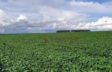 Imagem 14: Fazenda à venda, 6100 Hectares por R$ 770.000 - Zona Rural - Nova Maringá/MT
