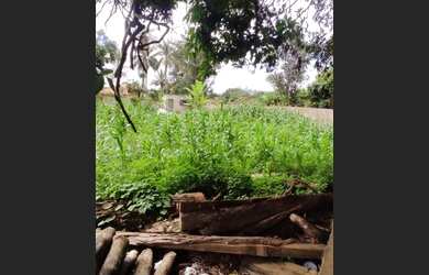 Imagem 9: BRASÍLIA - Terreno Padrão - SETOR HABITACIONAL ARNIQUEIRA ÁGUAS CLARAS