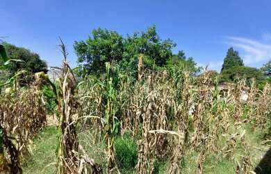 Imagem 4: Terreno à venda, 4619 m² por R$ 4.619.000,00 - Granja Viana - Cotia/SP