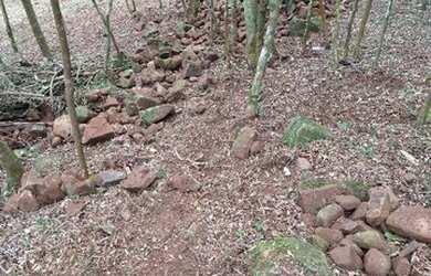Imagem: A fazenda possui 50.000m² de Área, Churrasqueira e está