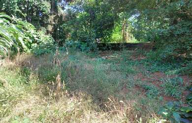 Imagem 6: Terreno à venda, 4619 m² por R$ 4.619.000,00 - Granja Viana - Cotia/SP