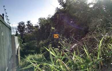 Imagem 3: Terreno em Jardim Isabel. 890m² de Área