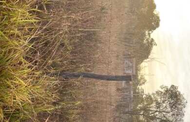 Imagem 3: Lote no Residencial Diana