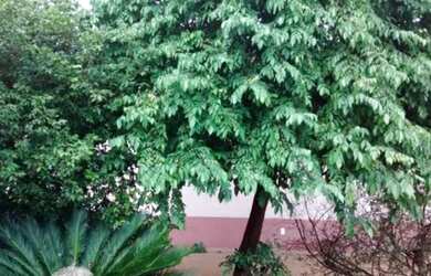 Imagem 15: São José do Rio Preto - Casa Padrão - Jardim Bosque das Vivendas