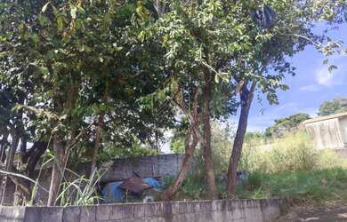 Imagem 9: Atibaia - Terreno Padrão - Jardim dos Pinheiros