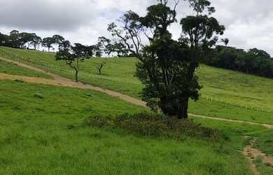 Imagem 5: Lote/Terreno para venda possui 1000 metros quadrados em Moinho I - Nazaré...