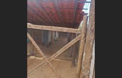 Imagem 2: Alugo casa em jaboticatubas bairro bom jardim