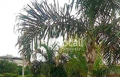 Imagem 5: Terreno à venda, 425 m² por R$ 435.000,00 - Gaivota II - São José...