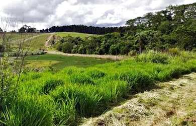Imagem: O terreno possui 500m² de Área e está localizado em Morro