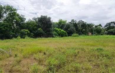 Imagem 3: Area 50x100. 5.000m² de Área