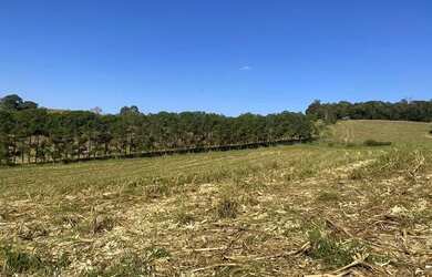 Imagem: O terreno possui 500m² de Área e está localizado em Usina