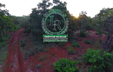 Imagem: A fazenda está localizado em Plano Diretor Sul, Palmas à venda