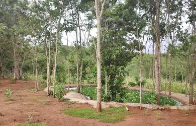 Imagem 6: Sítio no Prata/Mg