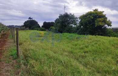 Imagem 11: Chácara em Santa Terezinha de Itaipu - PR