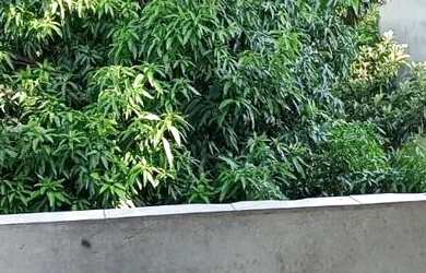 Imagem 4: Duas casas 4e5 Cômodos. Varanda, Área de serviço, 400m² de Áreae1...