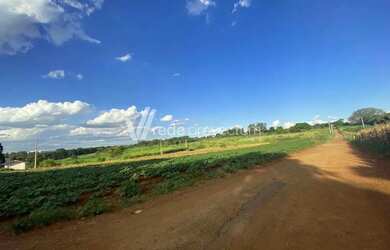 Imagem 5: área - Betel - Paulínia